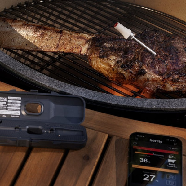 HerQs Pin Probe Thermometer